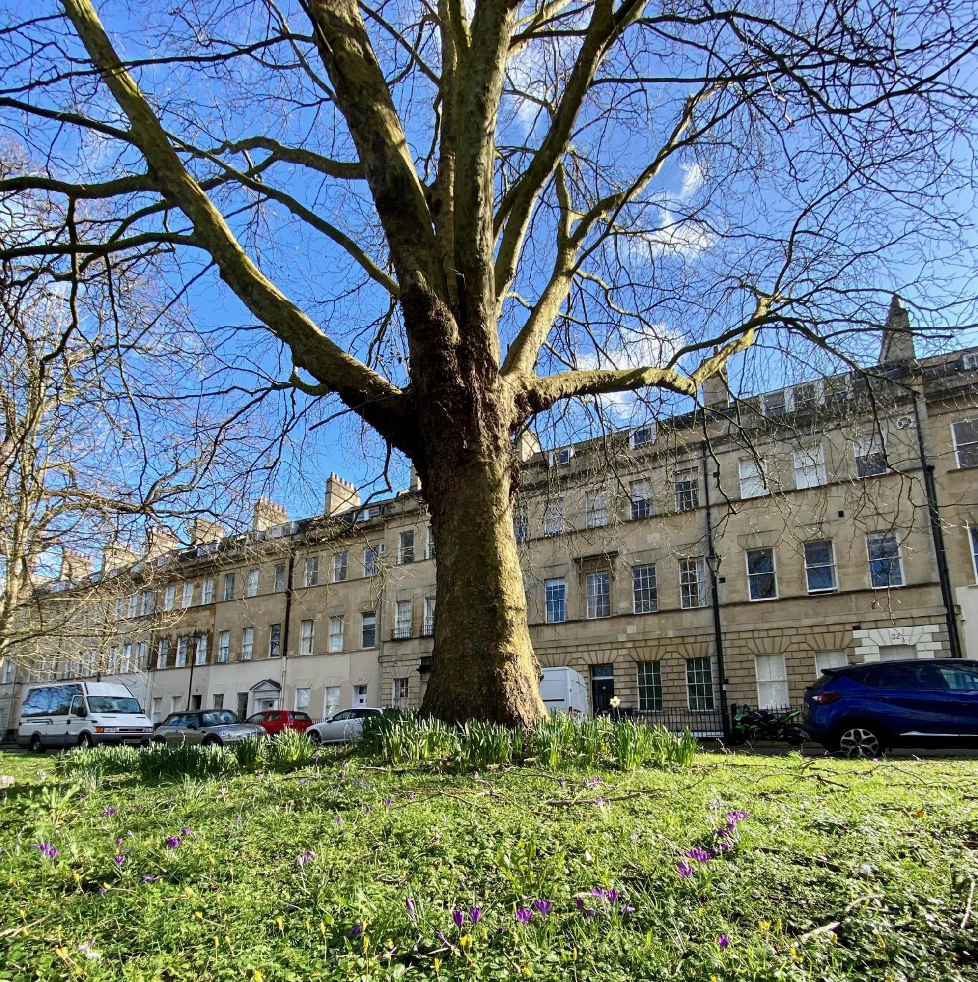 Grosvenor Apartments In Bath - Great For Families, Groups, Couples, 80 Sq M, Parking Exterior foto